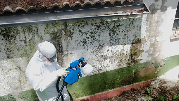 Top rated local Mold Inspection specialists in Garden City, GA